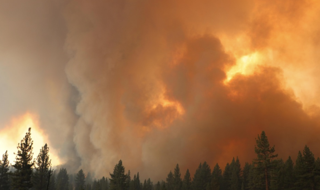 EPA photo of wildfire
